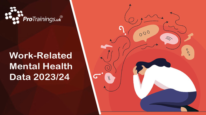 HSE Stats Work related stress depression anxiety statistics - 2024/25 