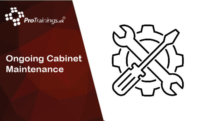 Ongoing Cabinet Maintenance 