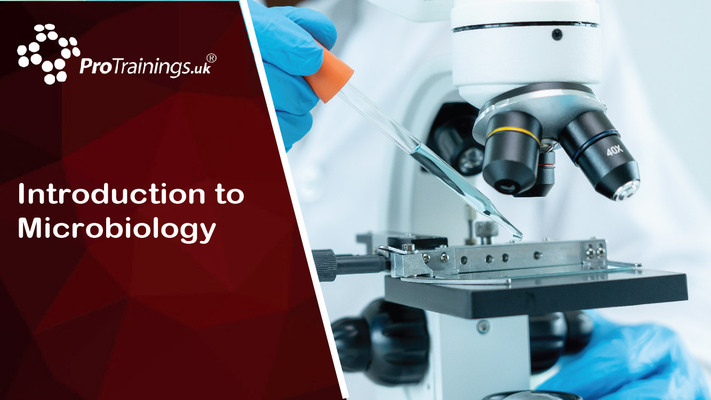 Introduction to Microbiology 