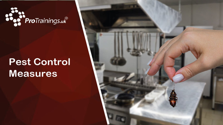 Pest Control Measures 
