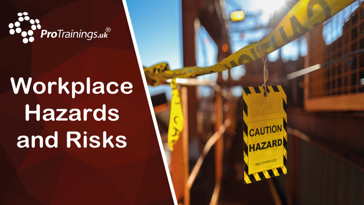 Workplace Hazards and Risks 