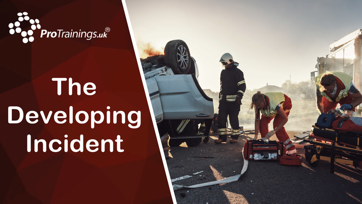 The Developing Incident 