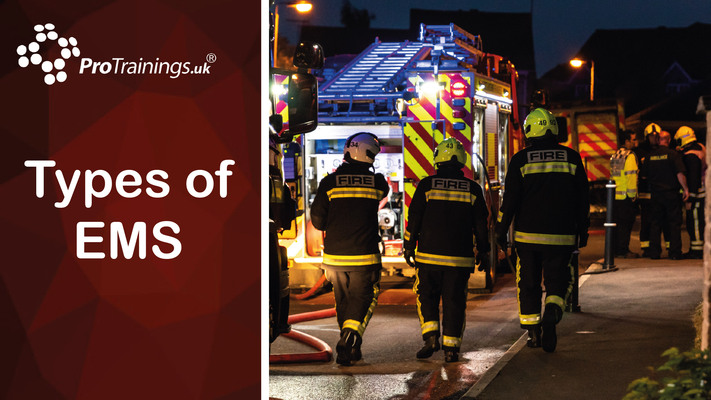 Types of EMS 