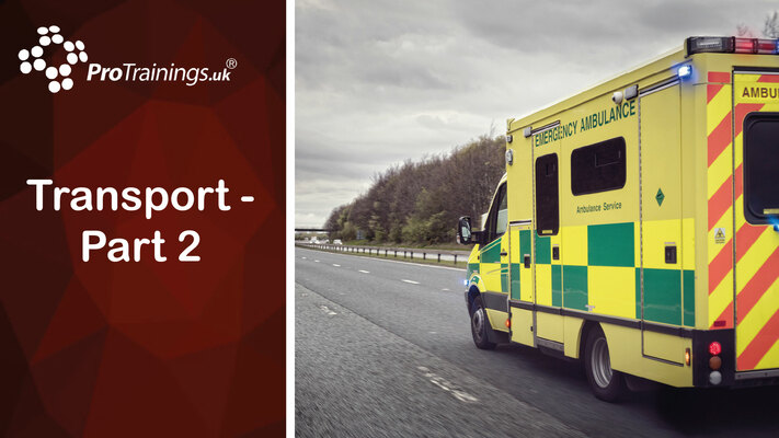 Transport - part two 