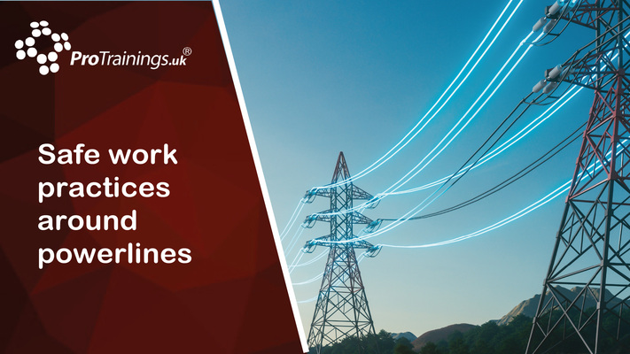 Safe Work Practices Around Powerlines 