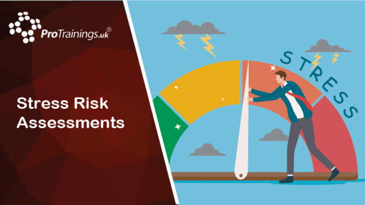 Stress Risk Assessments 