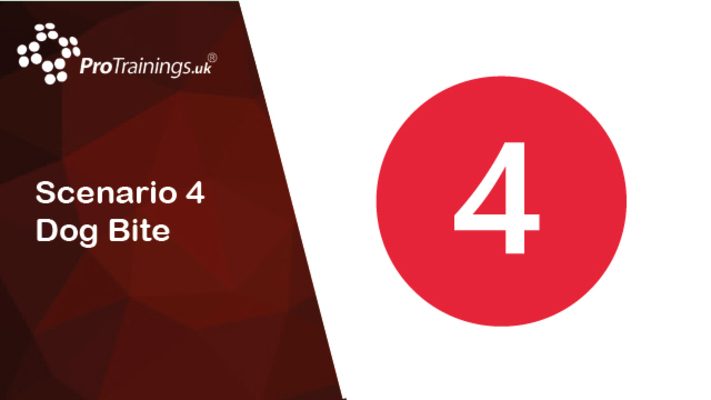 Scenario 4 dog bite