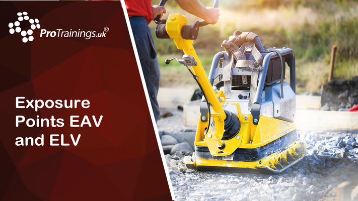 Exposure Points (EAV & ELV) 