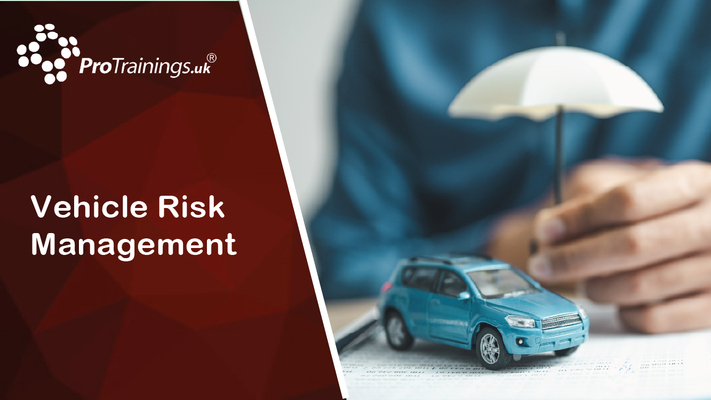 Vehicle Risk Management 