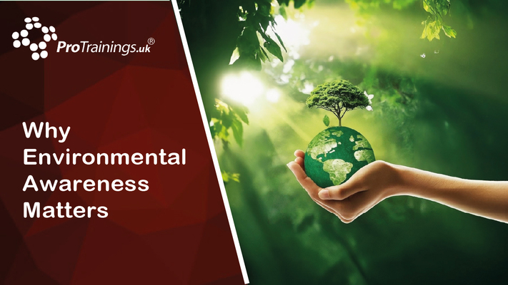 Why Environmental Awareness Matters 