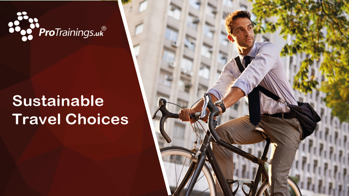 Sustainable Travel Choices 