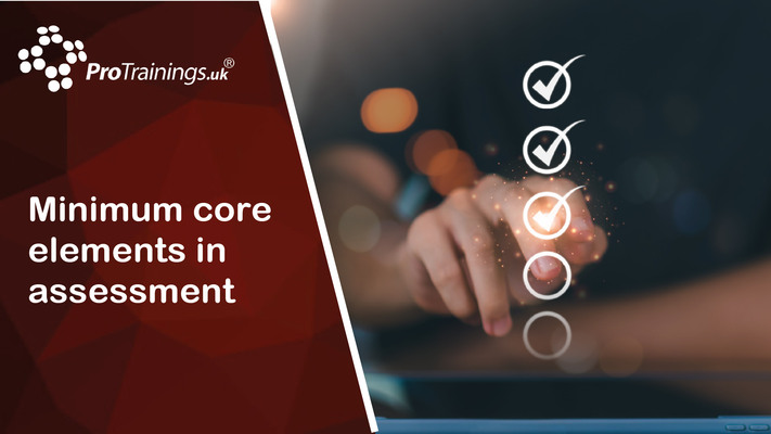 Minimum Core Elements in Assessment 