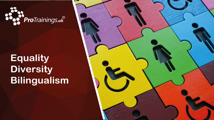 Equality Diversity and Bilingualism 